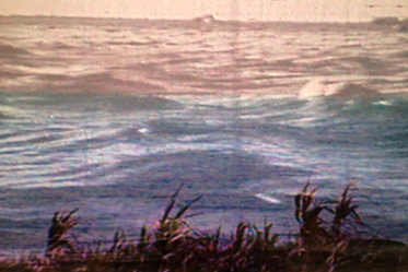 Train-Trains-2-STILL#3