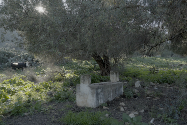 WE-NO-LONGER-PREFER-MOUNTAINS_3