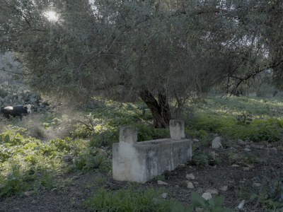 WE-NO-LONGER-PREFER-MOUNTAINS_3